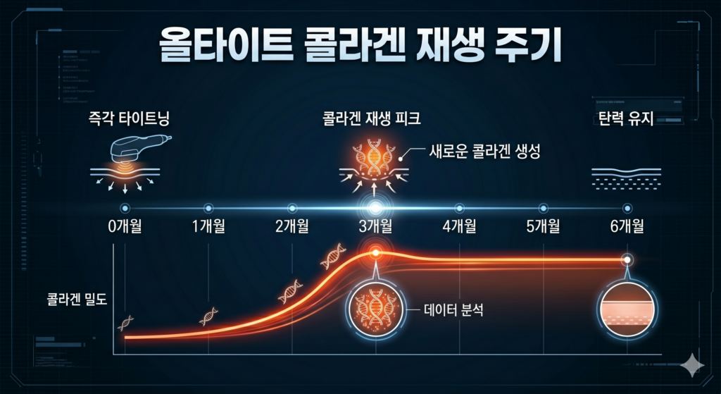 올타이트 주기별 콜라겐 재생 과정과 3개월 이상의 효과 발현 타임라인
