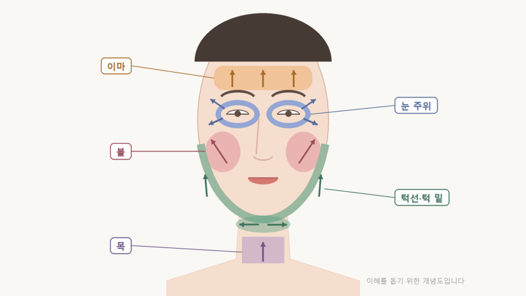 울쎄라를 시술할 수 있는 이마, 눈 주위, 볼, 턱선과 턱 밑, 목 다섯 부위와 피부를 당기는 방향을 표시한 얼굴 정면 개념도